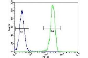Flow Cytometry (FACS) image for anti-Leucine-Rich Repeat Containing G Protein-Coupled Receptor 5 (LGR5) (AA 443-473) antibody (ABIN3028793)