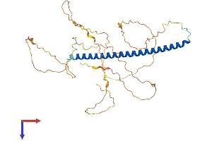 c-FOS Protein (AA 1-380) (His tag)