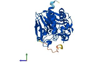 Protein Structure (PS) image for Protein Phosphatase 2, Catalytic Subunit, alpha Isozyme (PPP2CA) (AA 1-309) protein (His tag) (ABIN7551001)