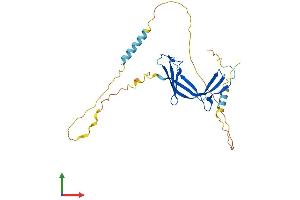 Protein Structure (PS) image for ELL Associated Factor 1 (EAF1) (AA 1-268) protein (His tag) (ABIN7547284)