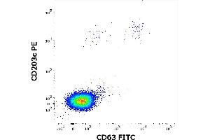 Flow cytometry dot-plot staining pattern of rAlt a 1 recombinant allergen stimulated human peripheral whole blood lymphocytes and basophils of a proven allergic donor stained using anti-human CD63 (MEM-259) FITC and anti-human CD203c (NP4D6) PE antibodies . (Alt a 1 (Alternaria Alternata) Protein)