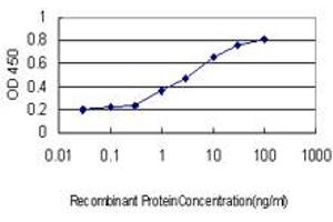 Detection limit for recombinant GST tagged PIK3C2B is approximately 1ng/ml as a capture antibody. (PIK3C2B Antikörper  (AA 1-110))