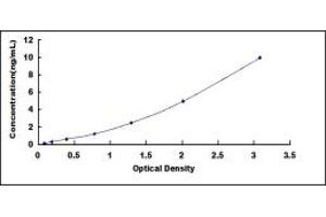 Typical standard curve (QPCT ELISA Kit)