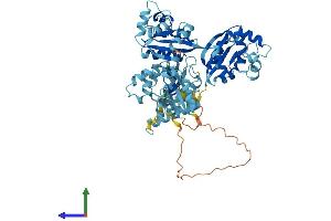 AlphaFold protein structure predicition of Human Recombinant NME8 Protein, UniprotID Q8N427