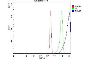 Flow Cytometry analysis of K562 cells using anti-ATG4A antibody (ABIN7599354).