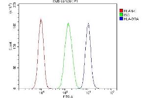 anti-HLA Class II DR alpha (HLA-DRA) (AA 26-254) antibody