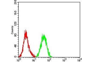 Flow cytometric analysis of HL-60 cells using CD10 mouse mAb (green) and negative control (red). (MME Antikörper  (AA 52-246))