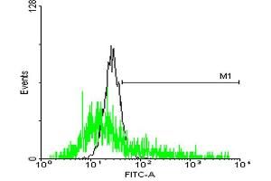 FACS analysis of negative control 293 cells (Black) and SSR2 expressing 293 cells (Green) using SSR2 purified MaxPab mouse polyclonal antibody. (SSR2 Antikörper  (AA 1-186))