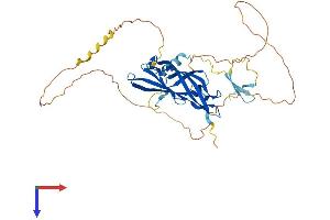 FAM102A Protein (AA 1-392) (His tag)