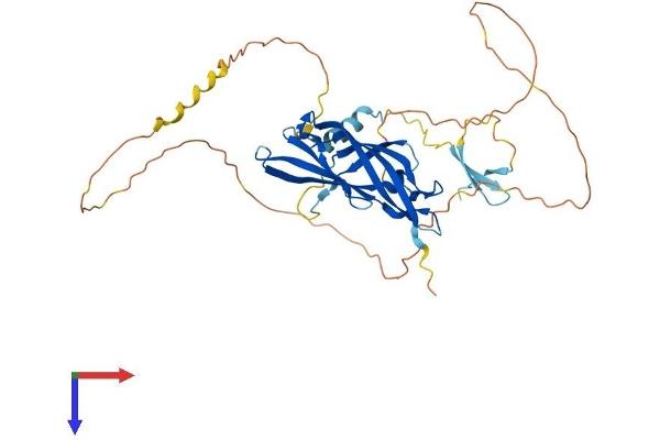 FAM102A Protein (AA 1-392) (His tag)