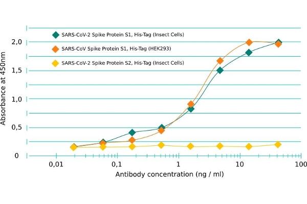 Rekombinanter SARS-CoV-2 Spike S1 Antikörper  (RBD)