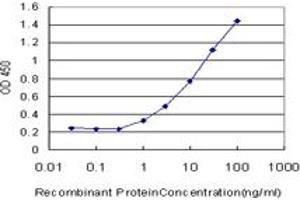 Detection limit for recombinant GST tagged MECP2 is approximately 1ng/ml as a capture antibody. (MECP2 Antikörper  (AA 81-170))