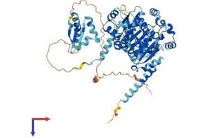 DDX43 Protein (AA 1-648) (His tag)