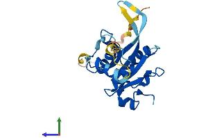 Protein Structure (PS) image for Josephin Domain Containing 1 (JOSD1) (AA 1-202) protein (His tag) (ABIN7548574)