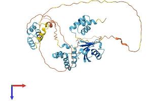 RAD23B Protein (AA 1-409) (His tag)