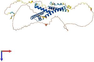 SUPT7L Protein (AA 1-412) (His tag)