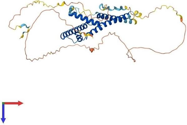 SUPT7L Protein (AA 1-412) (His tag)