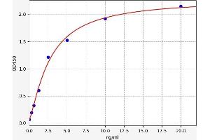 Typical standard curve (TOR2A ELISA Kit)