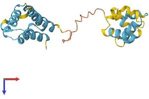 PYCARD Protein (AA 1-195) (His tag)