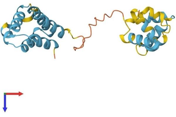 PYCARD Protein (AA 1-195) (His tag)