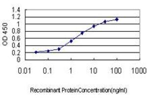 Detection limit for recombinant GST tagged HHEX is approximately 0. (HHEX Antikörper  (AA 1-270))