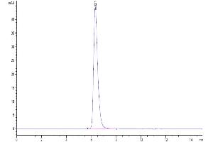 Size-exclusion chromatography-High Pressure Liquid Chromatography (SEC-HPLC) image for Tumor Necrosis Factor Receptor Superfamily, Member 9 (TNFRSF9) (AA 24-186) protein (Fc-Avi Tag) (ABIN7273924)