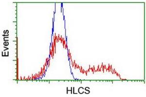 HEK293T cells transfected with either RC209197 overexpress plasmid (Red) or empty vector control plasmid (Blue) were immunostained by anti-HLCS antibody (ABIN2455633), and then analyzed by flow cytometry. (HLCS Antikörper)
