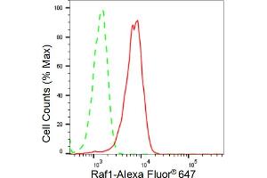Flow cytometric analysis of Raf1 expression in HeLa cells using Raf1 antibody (ABIN7800801), 1:2,000). (Rekombinanter RAF1 Antikörper)