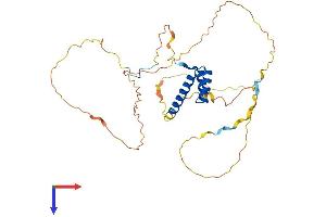 HOXD1 Protein (AA 1-328) (His tag)