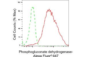 Flow cytometric analysis of Phosphogluconate dehydrogenase expression in HepG2 cells using Phosphogluconate dehydrogenase antibody (ABIN7799807), 1:2,000). (Rekombinanter PGD Antikörper)
