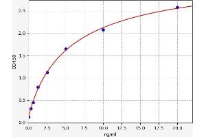 DRD3 ELISA Kit