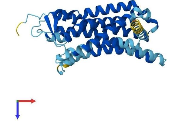 PSGR Protein (AA 1-320) (His tag)