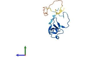 Protein Structure (PS) image for Eukaryotic Translation Initiation Factor 4E Binding Protein 2 (EIF4EBP2) (AA 1-120) protein (His tag) (ABIN7563529)