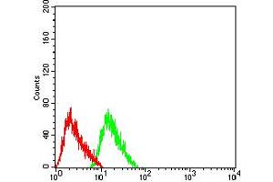 Flow Cytometry (FACS) image for anti-Cholinergic Receptor, Nicotinic, beta 2 (Neuronal) (CHRNB2) (AA 26-233) antibody (ABIN5611311)