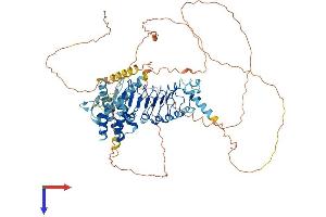 LRCH1 Protein (AA 1-709) (His tag)