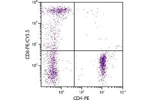 Human peripheral blood lymphocytes were stained with Mouse Anti-Human CD8-PE/CY5. (CD8 Antikörper  (PE-Cy5.5))