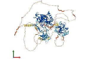 Protein Structure (PS) image for Lysine (K)-Specific Demethylase 4B (KDM4B) (AA 1-1096) protein (His tag) (ABIN7554270)