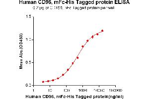 ELISA plate pre-coated by 2 μg/mL (100 μL/well) Human CD96, mFc-His tagged protein (ABIN6961101) can bind Human CD155, hFc tagged protein (ABIN6961168) in a linear range of 62. (CD96 Protein (CD96) (mFc-His Tag))