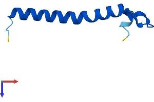 TOMM7 Protein (AA 1-55) (Fc Tag)