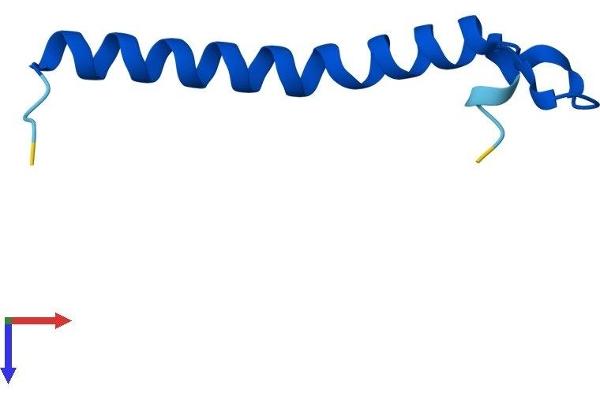 TOMM7 Protein (AA 1-55) (Fc Tag)