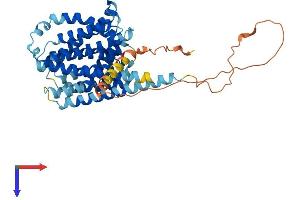SLC35D3 Protein (AA 1-416) (His tag)