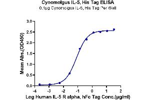 Immobilized Cynomolgus IL-5, His Tag at 1 μg/mL (100 μL/well) on the plate. (IL-5 Protein (AA 20-134) (His tag))