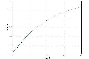 A typical standard curve