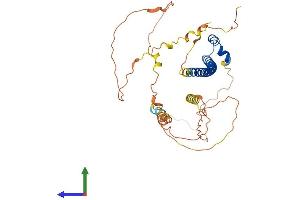 Protein Structure (PS) image for V-Maf Musculoaponeurotic Fibrosarcoma Oncogene Homolog (Avian) (MAF) (AA 1-373) protein (His tag) (ABIN7554459)