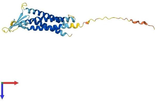 Claudin 17 Protein (CLDN17) (AA 1-224) (His tag)