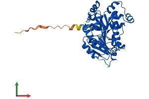 Protein Structure (PS) image for Leucine Carboxyl Methyltransferase 1 (LCMT1) (AA 1-334) protein (His tag) (ABIN7549008)