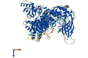 PIK3CD Protein (AA 1-1043) (His tag)