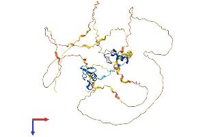GATA2 Protein (AA 1-480) (His tag)