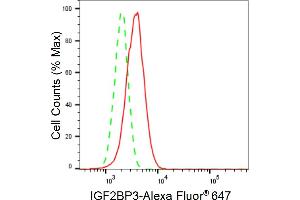 Flow cytometric analysis of IGF2BP3 expression in HepG2 cells using IGF2BP3 antibody (ABIN7799052), 1:2,000). (Rekombinanter IGF2BP3 Antikörper)