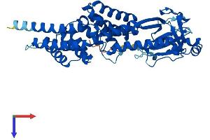 TTC5 Protein (AA 1-440) (His tag)